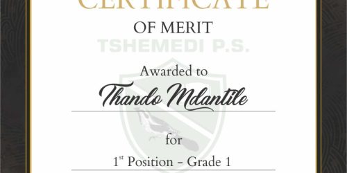 Tshemedi-Primary-School-37400-A4-Certificates