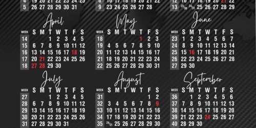 mcm-matress-component-manufacturers-37391-A1-Wall-Calendar-2025